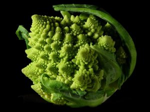 Le brocoli, un objet fractal de la nature