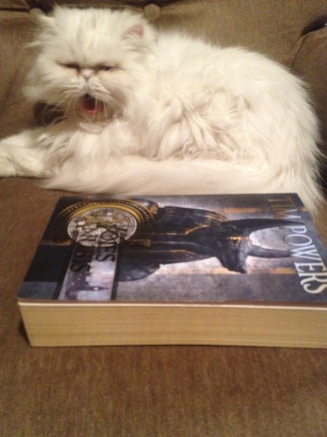 Comme le prouve indiscutablement ma photo, les Voies d'Anubis aura quasiment la même taille que les Pirates de l'Escroc-Griffe, mais les deux romans auront néanmoins des dimensions à celles de Heidi, mon chat persan (merci pour sa collaboration)